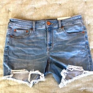 MIDI Shorts